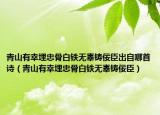 青山有幸埋忠骨白鐵無辜鑄佞臣出自哪首詩（青山有幸埋忠骨白鐵無辜鑄佞臣）