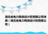 湖北省電力勘測設(shè)計(jì)院有限公司待遇（湖北省電力勘測設(shè)計(jì)院有限公司）