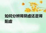 如何分辨腎陰虛還是腎陽(yáng)虛
