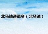 北馬鎮(zhèn)通緝令（北馬鎮(zhèn)）