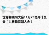 世界物聯(lián)網(wǎng)大會(huì)11月23號(hào)開(kāi)什么會(huì)（世界物聯(lián)網(wǎng)大會(huì)）
