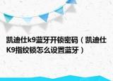 凱迪仕k9藍(lán)牙開鎖密碼（凱迪仕K9指紋鎖怎么設(shè)置藍(lán)牙）