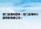 廈門金海峽擔(dān)保（廈門金海峽小額貸款有限公司）