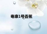 粵康1號香蕉