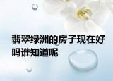 翡翠綠洲的房子現(xiàn)在好嗎誰知道呢