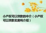 小產(chǎn)權(quán)可以貸款的中介（小產(chǎn)權(quán)可以貸款買房嗎介紹）