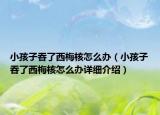 小孩子吞了西梅核怎么辦（小孩子吞了西梅核怎么辦詳細介紹）