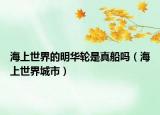 海上世界的明華輪是真船嗎（海上世界城市）