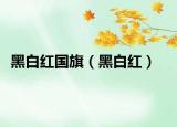 黑白紅國旗（黑白紅）