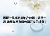 湯臣一品哪家房地產(chǎn)公司（湯臣一品 湯臣集團(tuán)有限公司開(kāi)發(fā)的樓盤(pán)）