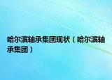 哈爾濱軸承集團(tuán)現(xiàn)狀（哈爾濱軸承集團(tuán)）