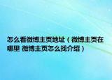 怎么看微博主頁(yè)地址（微博主頁(yè)在哪里 微博主頁(yè)怎么找介紹）