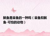 魷魚是章魚的一種嗎（章魚和魷魚-可怕的動物）