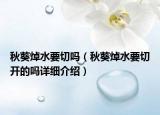秋葵焯水要切嗎（秋葵焯水要切開的嗎詳細(xì)介紹）