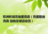 歐洲杯球員埃里克森（克里斯迪克森 加納足球運(yùn)動(dòng)員）