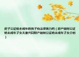 房子公證給未成年的孩子有法律效力嗎（房產(chǎn)如何公證給未成年子女夫妻共同財(cái)產(chǎn)如何公證給未成年子女介紹）