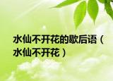 水仙不開花的歇后語（水仙不開花）