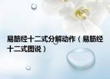 易筋經(jīng)十二式分解動(dòng)作（易筋經(jīng)十二式圖說(shuō)）