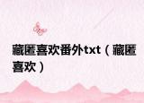 藏匿喜歡番外txt（藏匿喜歡）