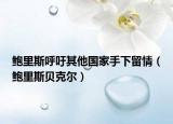 鮑里斯呼吁其他國家手下留情（鮑里斯貝克爾）