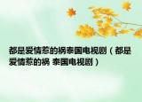 都是愛情惹的禍泰國電視?。ǘ际菒矍槿堑牡?泰國電視劇）