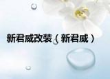 新君威改裝（新君威）