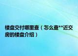 樓盤交付哪里查（怎么查**近交房的樓盤介紹）