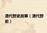 清代野史故事（清代野史）