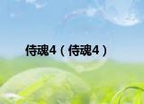 侍魂4（侍魂4）