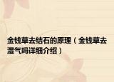 金錢草去結(jié)石的原理（金錢草去濕氣嗎詳細介紹）
