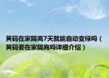 黃碼在家隔離7天就能自動變綠嗎（黃碼要在家隔離嗎詳細介紹）