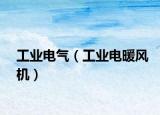 工業(yè)電氣（工業(yè)電暖風(fēng)機(jī)）