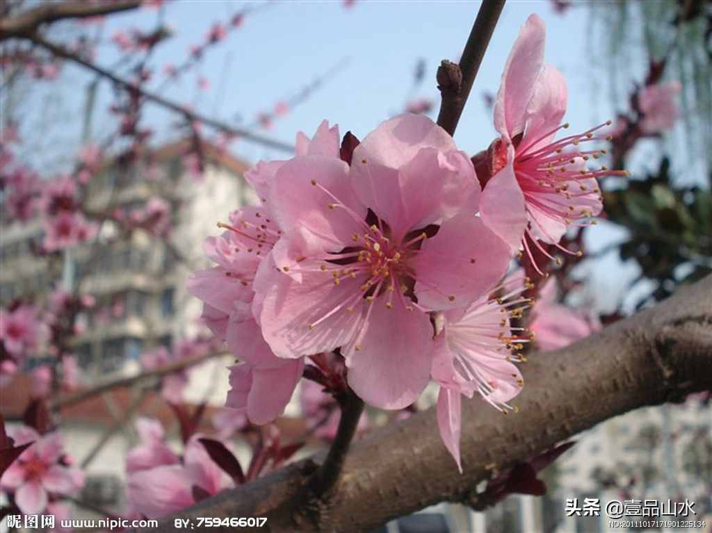 致女神們——愿你芳華自在，笑靨如花