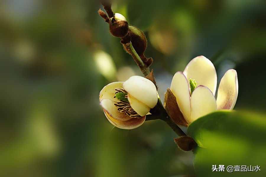 致女神們——愿你芳華自在，笑靨如花