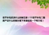 翡翠半島武清什么時候交房（??翡翠半島二期房產證什么時候辦理下來誰能說一下呢介紹）