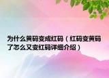為什么黃碼變成紅碼（紅碼變黃碼了怎么又變紅碼詳細(xì)介紹）