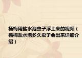 楊梅用鹽水泡蟲子浮上來的視頻（楊梅鹽水泡多久蟲子會出來詳細(xì)介紹）