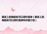 眼皮上的脂肪粒可以用針挑掉（眼皮上的脂肪?？梢杂冕樚舻魡嵩敿?xì)介紹）