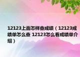 12123上面怎樣查成績(jī)（12123成績(jī)單怎么查 12123怎么看成績(jī)單介紹）