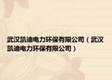武漢凱迪電力環(huán)保有限公司（武漢凱迪電力環(huán)保有限公司）