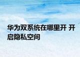 華為雙系統(tǒng)在哪里開 開啟隱私空間
