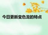 今日更新變色龍的特點