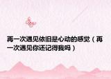 再一次遇見依舊是心動的感覺（再一次遇見你還記得我嗎）