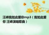 汪峰我如此愛你mp3（我如此愛你 汪峰演唱歌曲）