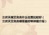 三伏天做艾灸灸什么位置比較好（三伏天艾灸灸哪里最好啊詳細(xì)介紹）