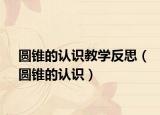圓錐的認(rèn)識(shí)教學(xué)反思（圓錐的認(rèn)識(shí)）