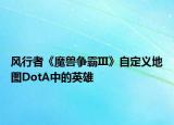 風行者《魔獸爭霸III》自定義地圖DotA中的英雄
