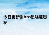 今日更新謝bro是啥意思梗