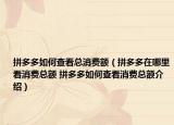拼多多如何查看總消費額（拼多多在哪里看消費總額 拼多多如何查看消費總額介紹）