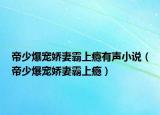 帝少爆寵嬌妻霸上癮有聲小說（帝少爆寵嬌妻霸上癮）